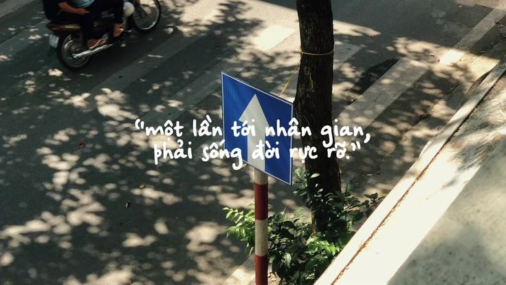 Nếu cả đời này không rực rỡ thì sao? neu ca doi nay khong ruc ro thi sao
